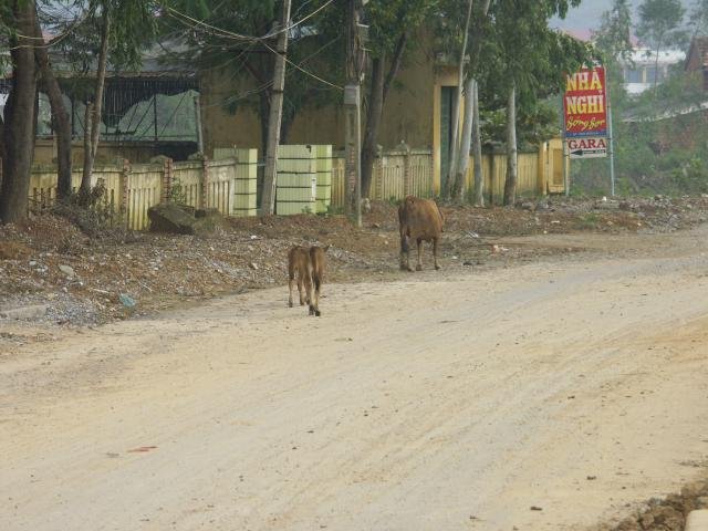 Urlaub in Vietnam 2007